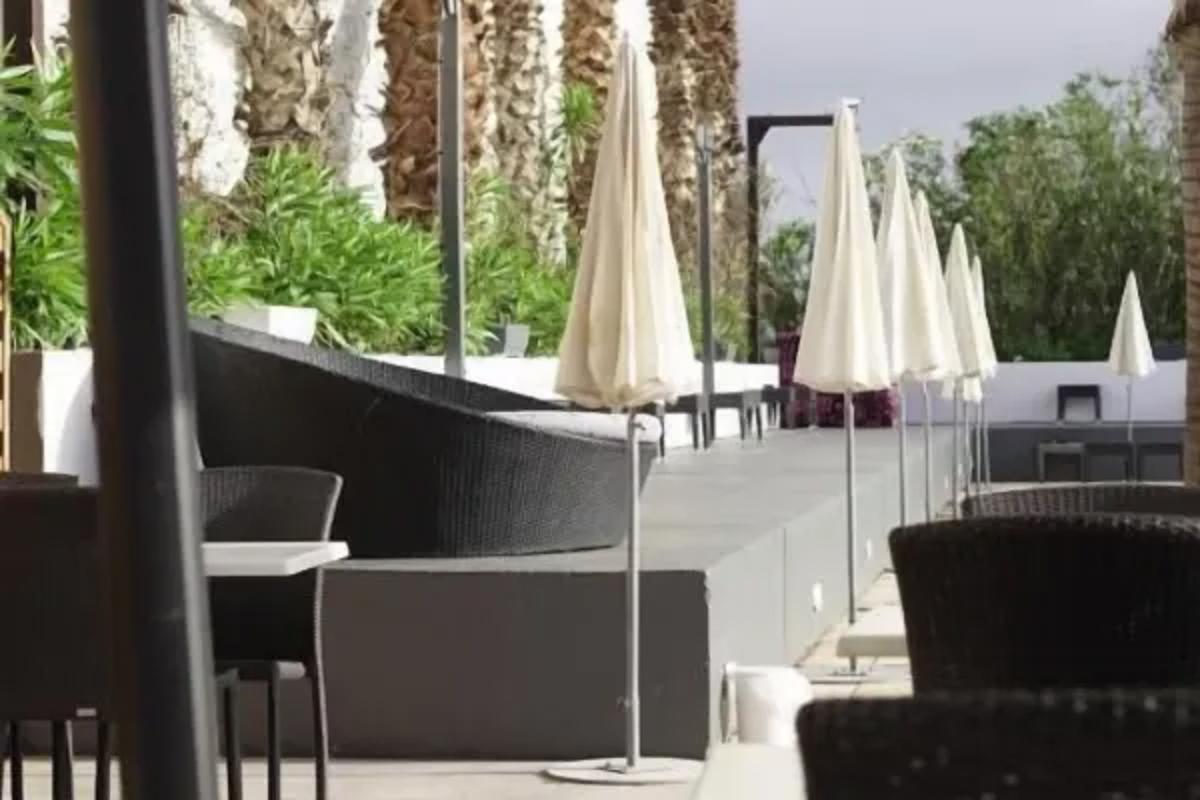 le jardin de babylone